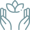 lotus_2418367